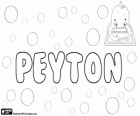 Peyton, Name des englischen Ursprung. Peyton, Variante von Payton