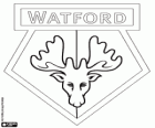 Watford F.C.Abzeichen. Die Hornets