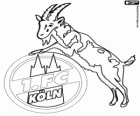 Wappen 1. FC Köln. Fußballverein aus der Stadt Köln, Nordrhein-Westfalen