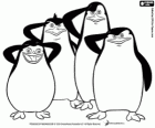 Die vier Pinguine von Madagaskar, die Protagonisten des Films