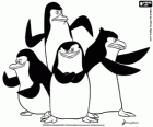Die Gruppe von Pinguinen einsatzbereit. Die Pinguine aus Madagascar
