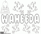 Waheeda, Name arabischen Ursprungs. Waheeda, Namen für Mädchen