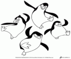 Unsere Freunde, die Pinguine von Madagaskar tanzen und springen