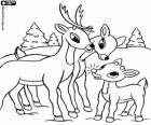 Das kleine Rentier mit der roten Nase, Rudolph mit seinem Vater und seiner Mutter