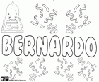 Bernardo, lateinische Form des germanischen namens Bernhard. Seine Bedeutung ist stark wie ein Bär. Bernardo, männlicher Name in Spanisch, Portugiesisch und Italienisch