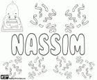 Nassim, Name arabischen Ursprungs. Seine Bedeutung ist Brise. Der arabische Name wird in der Regel auch als Nasim, Nacim, Nassem, Nesim oder Nessim im lateinischen Alphabet geschrieben