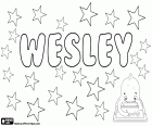 Wesley, Name englischer Herkunft, mit verschiedenen Ursprungs. Kurzform des Namens Wesleydale