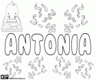 Antonia, Name leitet sich von dem lateinischen Antonius. Antonia, weibliche Form von Antonio. Namen in vielen Sprachen vorhandene