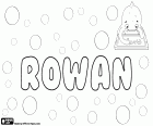 Rowan, irischen und englischen Namen. Rowan, Namen für Jungen, die auch für Mädchen verwendet wird
