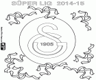 Galatasaray SK, Meister der Super Lig 2014-2015, Türkei-Fußball-Liga