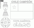 Die Nationalmannschaft von Chile wurde Meister der Copa America 2015 ausgerufen. Die Übereinstimmung und die zusätzliche Zeit endete 0: 0 auf der Anzeigetafel. Chile besiegte der argentinischen Nationalmannschaft im Elfmeterschießen