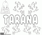 Tarana Variante des Taranah. Tarana, Name des hinduistischen Ursprungs. Tarana, Art der Zusammensetzung des hinduistischen Vokalmusik