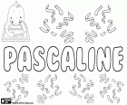 Pascaline, französischer Name für Mädchen. Pascaline, Pascale-Variante, weibliche Form von Pascal. All dies sind Namen, abgeleitet von dem lateinischen Paschalis das Passah, im Zusammenhang mit Ostern bedeutet