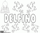 Delfino, einen Namen, abgeleitet vom lateinischen Namen Delphinus, stammt aus der griechischen Wort Delphis, d. h. Delphin