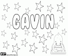 Gavin, männlicher Vorname in Englisch und Französisch, Schottisch, das kommt aus dem mittelalterlichen Namen Gawain