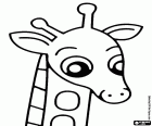 Eine junge Giraffe in ihr Gesicht spiegelt die Neugier zu entdecken, alles, gemeinsame Haltung der Kindheit und Jugend