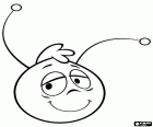 Das Gesicht von Willy, oft ein verschlafenes Gesicht, der beste Freund der Maya die Biene