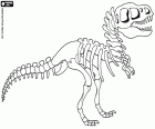 Rekonstruktion der ein Dinosaurier-Skelett in einem Museum. Die Überreste des Skeletts eines prähistorischen Tieres, die bei archäologischen Ausgrabungen gefunden wurde
