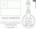 Chile, zweimal Meister der Copa America 2015 und 2016. Die Chile-Fußball-Nationalmannschaft ist der Meister der Copa America Centenario 2016, es hat Argentinien im Elfmeterschießen besiegte, war das Ergebnis des Spiels 0: 0. Die Chilenen Alexis Sanchez wurde zum besten Spieler des Turniers, Claudio Bravo wurde der beste Torhüter und Eduardo Vargas wurde Torschützenkönig
