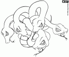 Hydra ist ein Mystisch Kreatur in Form einer Schlange mit vielen Köpfen in griechischen und römischen mythologie