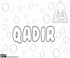 Qadir, männlicher Name arabischen Ursprungs, Variante von Namen wie Kadir, Kader, Qader und Ghader u.a.