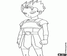 Cabba, ein Saiyajin vom Universum 6, einen neuen Charakter von Dragon Ball Super