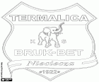 Emblem von Bruk-Bet Termalica Nieciecza Klub Sportowy, Fußballverein in Nieciecza, Dorf im Südosten Polens in der Woiwodschaft Kleinpolen befindet sich etwa 60 km östlich von Krakau