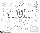Sacha, unisex Namen in verschiedenen Sprachen, Variante von Sasha, Sascha, Sasja und Saša, diminutive russischstämmige für Alexander und Alexandra