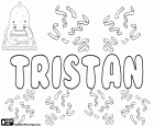 Tristan, Name keltischen Ursprungs für Jungen, die in vielen Sprachen, wie Englisch, Französisch, Deutsch, Spanisch und Polnisch, u.a. verwendet. Es ist auch ein Name für Mädchen in englischer Sprache als eine Variante der Trista und Tristana
