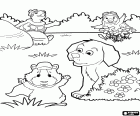 Die drei Wonder Pets Helden spielen in den Garten mit dem Hund