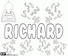 Richard, männlicher Vorname germanischen Ursprungs in vielen Sprachen wie Englisch, Deutsch, Französisch, Rumänisch, Ungarisch, Tschechisch, Slowakisch und Niederländisch