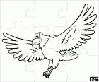 Puzzle mit einem Adler mit seinen Flügeln vollständig zu öffnen, während des Flugs