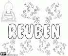 Reuben, Variante von Reuven und Reubhen, Namen für Jungen, der hebräischen Ursprungs, entspricht Ruben