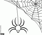 Ein Spinnennetz mit einer riesigen Spinne, zwei dekorative Elemente für Halloween-Partys