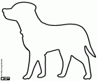 Malzeichnung mit der Silhouette eines Labradorhundes mit dem Halsband