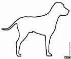 Die Silhouette eines Hundes der englischen Pointer-Rasse. Diese Rasse wurde traditionell als Jagdhund in England verwendet