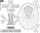 Die Sociedade Esportiva Palmeiras hat ihren dritten Meistertitel in der Copa Libertadores gewonnen. Palmeiras besiegte Flamengo im Finale mit 2:1 durch Tore von Raphael in der 5. Minute und das entscheidende Tor von Deyverson in der 95. Minute und in der 72. Minute das Tor von Gabriel Barbosa für das Carioca-Team.