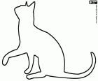 Die Silhouette einer Katze, die eine ihrer Vorderpfoten hebt