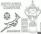 Die Springboks aus Südafrika haben den Weltmeistertitel durch einen 11:12-Sieg gegen die All Blacks aus Neuseeland verteidigt. Südafrika ist das erste Land, das viermal den Webb Ellis Cup gewonnen hat, die Trophäe für den Sieger der Rugby-Weltmeisterschaft. Die vier Weltmeistertitel Südafrikas wurden 1995 in Südafrika, 2007 in Frankreich, 2019 in Japan und 2023 in Frankreich gewonnen