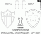Atlético Mineiro vs. Botafogo, das Finale der Copa Libertadores 2024, Estadio Monumental in Buenos Aires, Argentinien