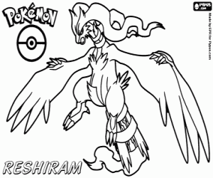 malvorlagen Reshiram, eine schwarze pokémon ausmalbilder