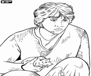 malvorlagen Ron mit der Ratte in der hand ausmalbilder