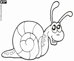 malvorlagen Schnecke ausmalbilder