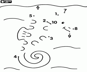 malvorlagen Ein Seepferdchen zeichnen ausmalbilder