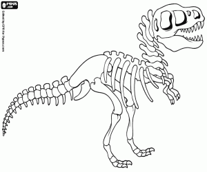 malvorlagen Das Skelett eines Dinosauriers ausmalbilder