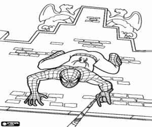 malvorlagen Spiderman auf der Fassade ausmalbilder