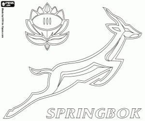 malvorlagen Sringboks logo ausmalbilder