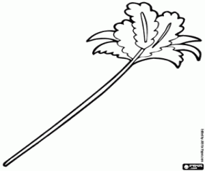 malvorlagen Ein Staubwedel mit der Katze spielen ausmalbilder