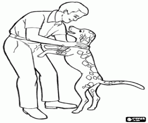 malvorlagen Ein Vater mit seinem Hund, Vatertag ausmalbilder