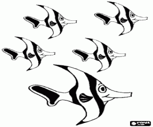 malvorlagen Viele Fische und Korallenriffe ausmalbilder